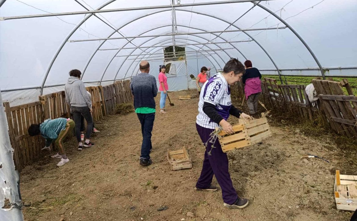 3e2e75e6-bb92-4496-be19-f98b7867564a