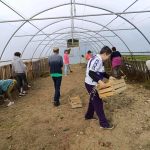 Jesenja sadnja povrća